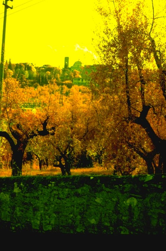 Florence Tour 1960-1970