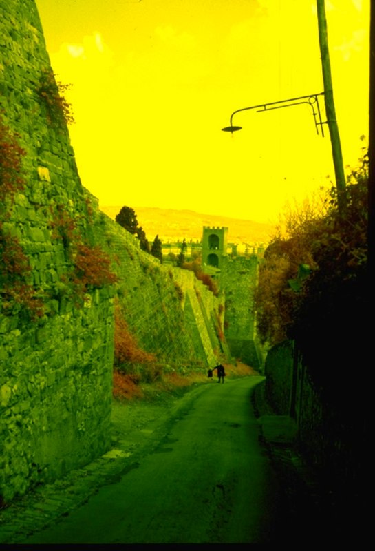 Florence Tour 1960-1970